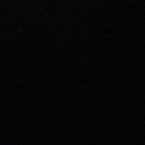 Meet your Posher, Jennie